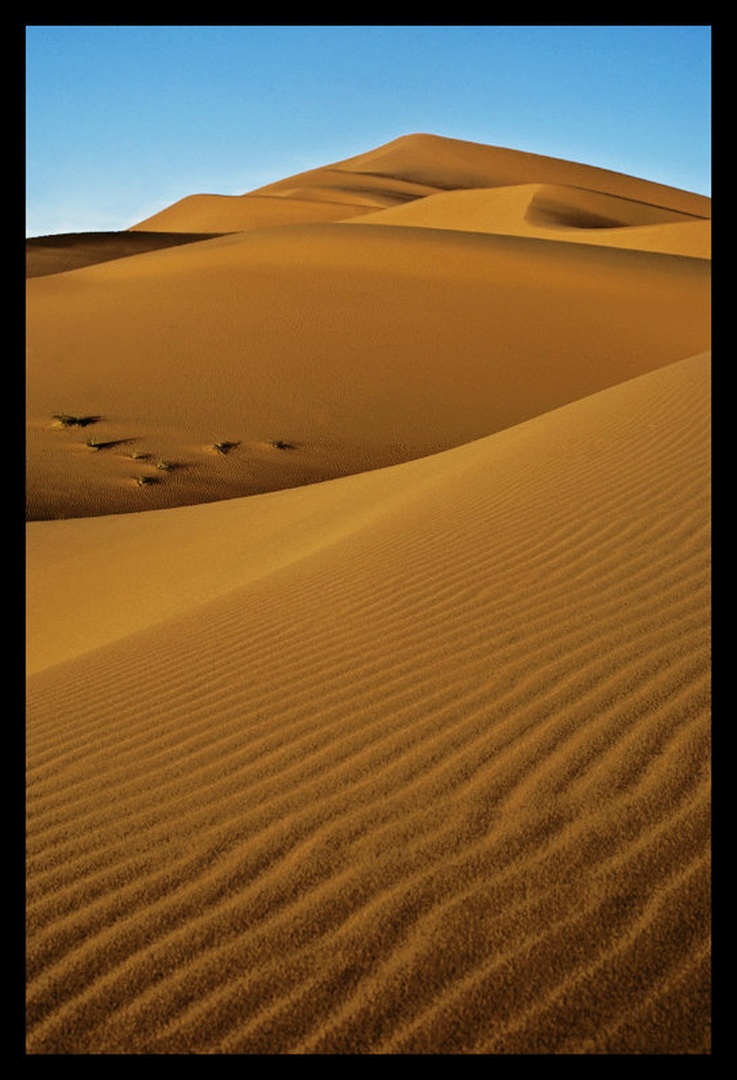 Desert by