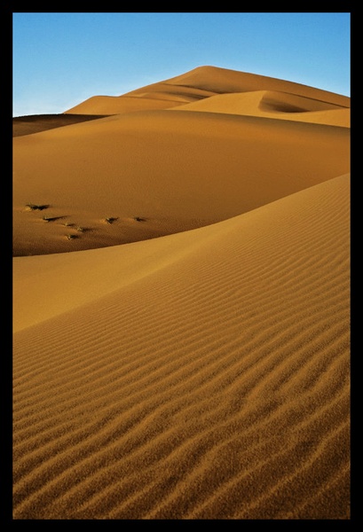 Desert by dam-yan