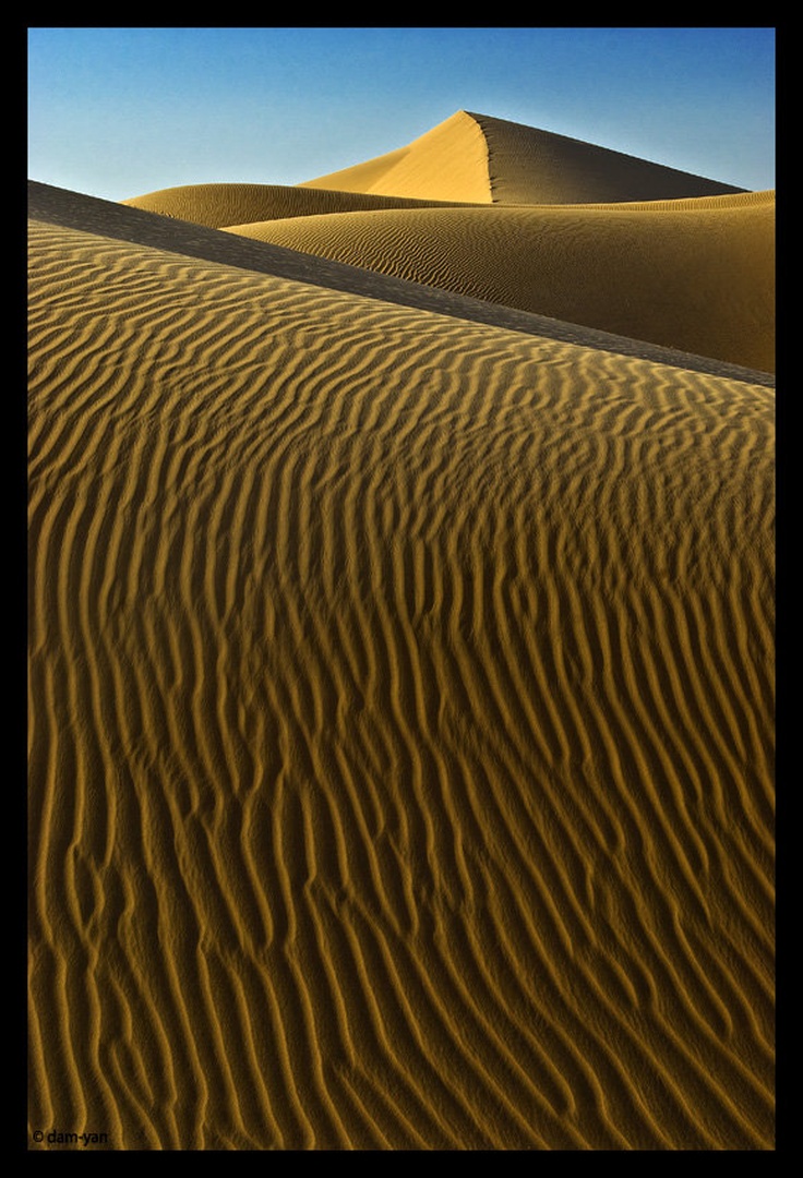 Sahara Dunes by