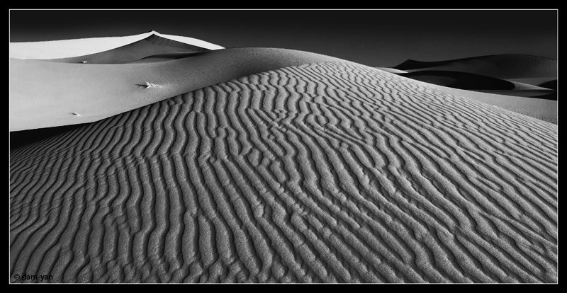 Dunes Of Sahara by dam-yan