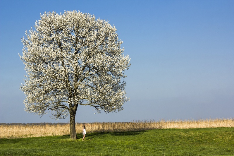Spring by Špela Stajnko