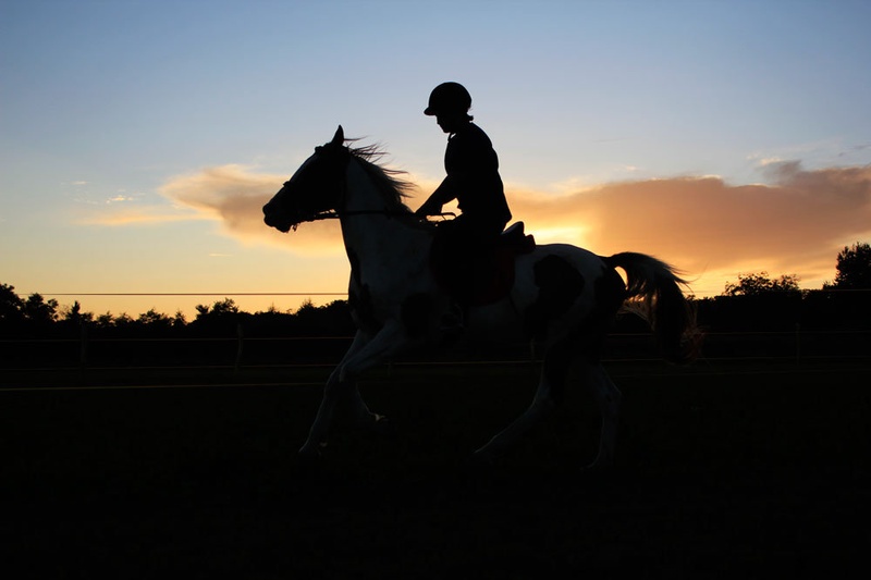 In riding a horse, we borrow freedom. by Špela Stajnko