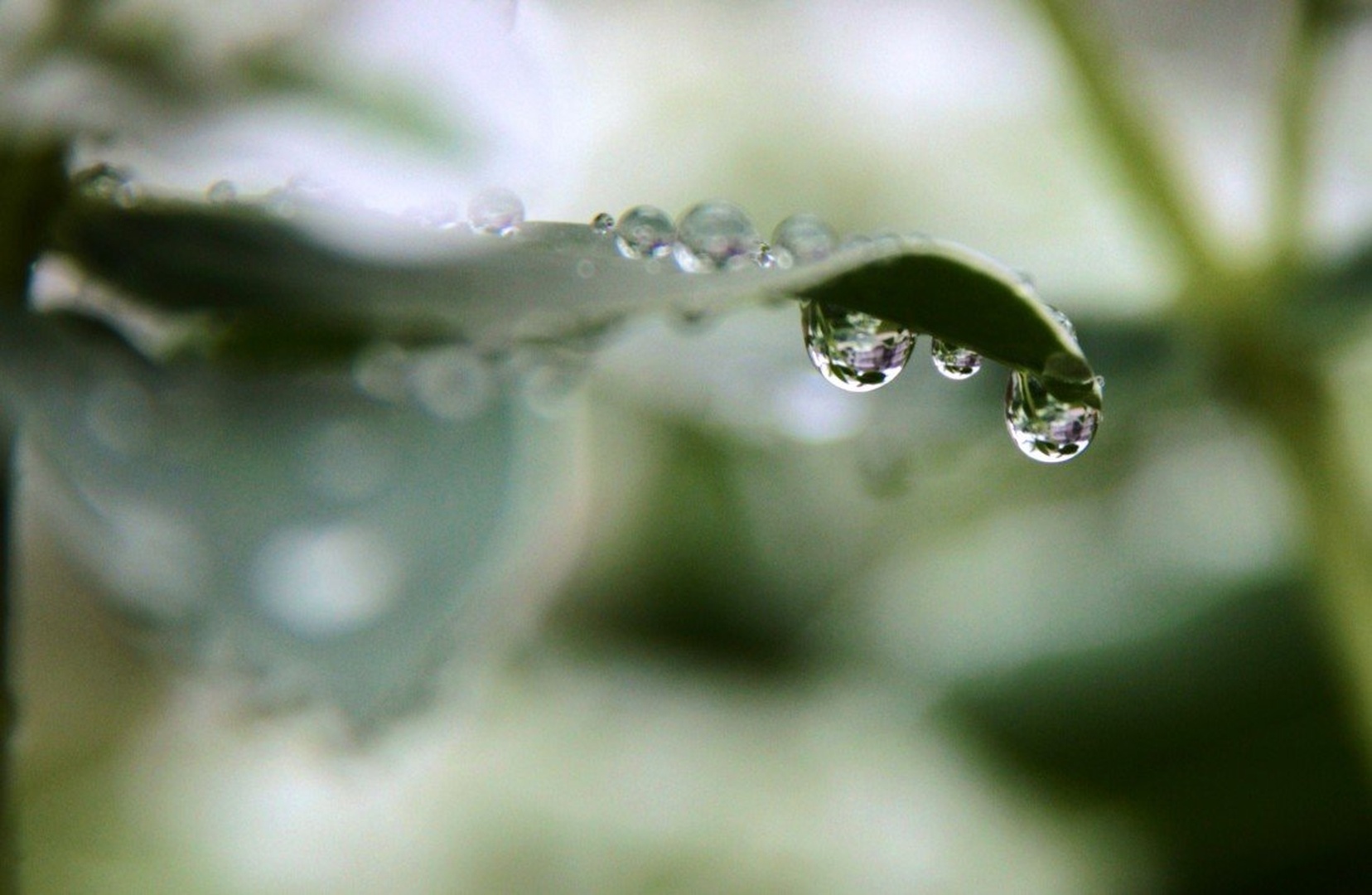 diamonds from the sky by