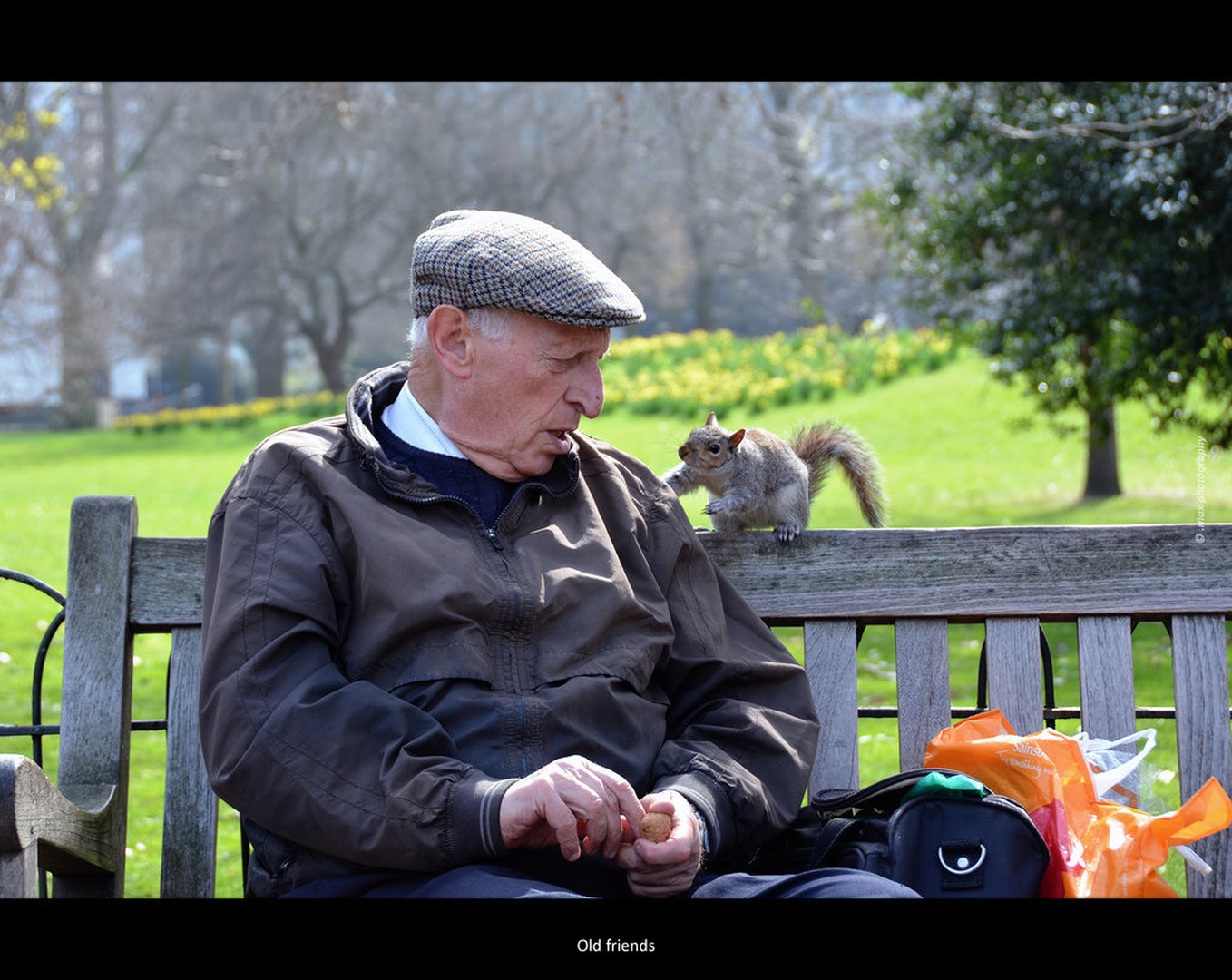 Old friends by Jernej