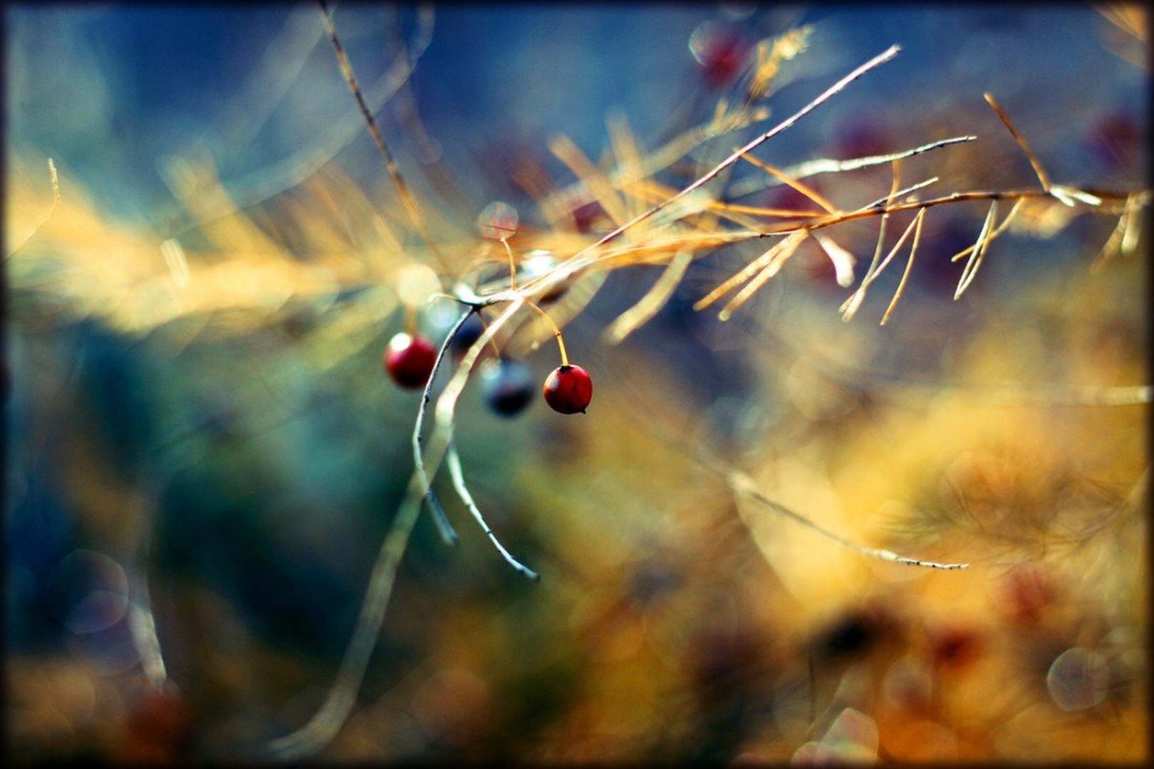 magic red ball by Grega Krečič