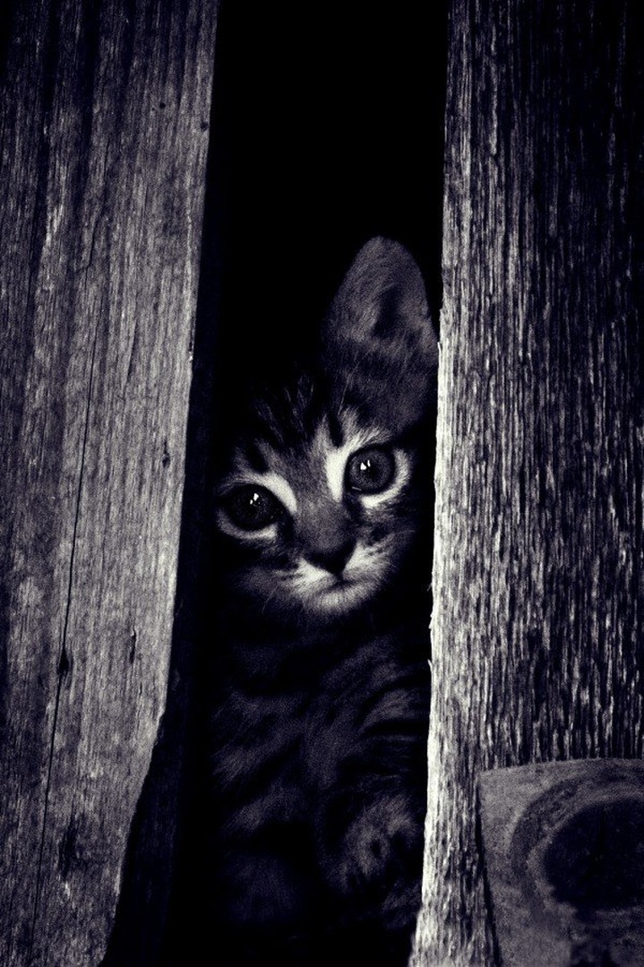 Safe Place by Gregor J.