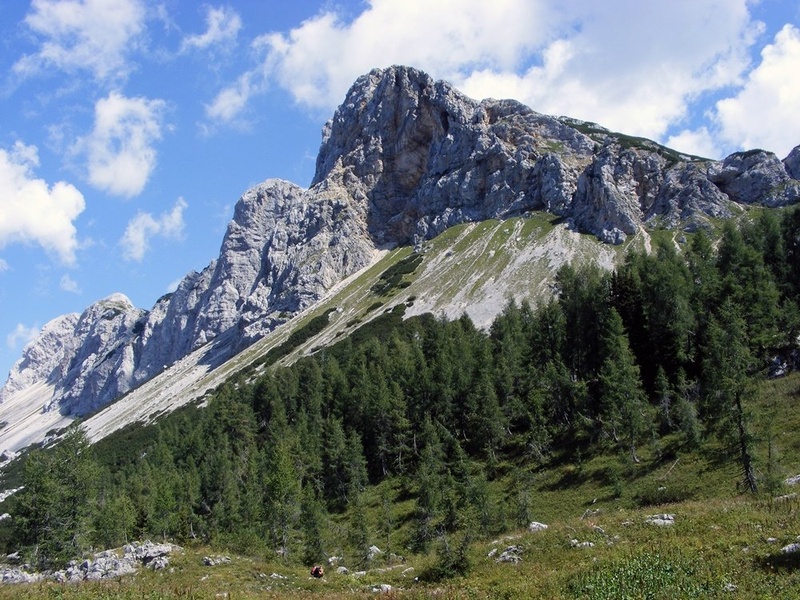 Pogled by grmadnik
