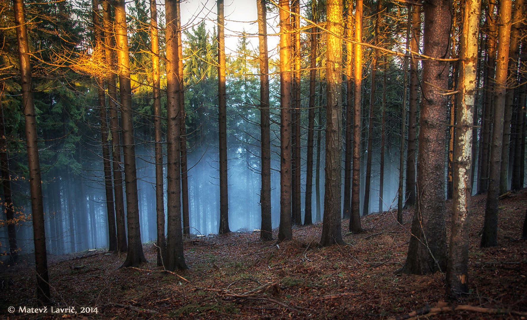 toplo hladno by Matevž Lavrič