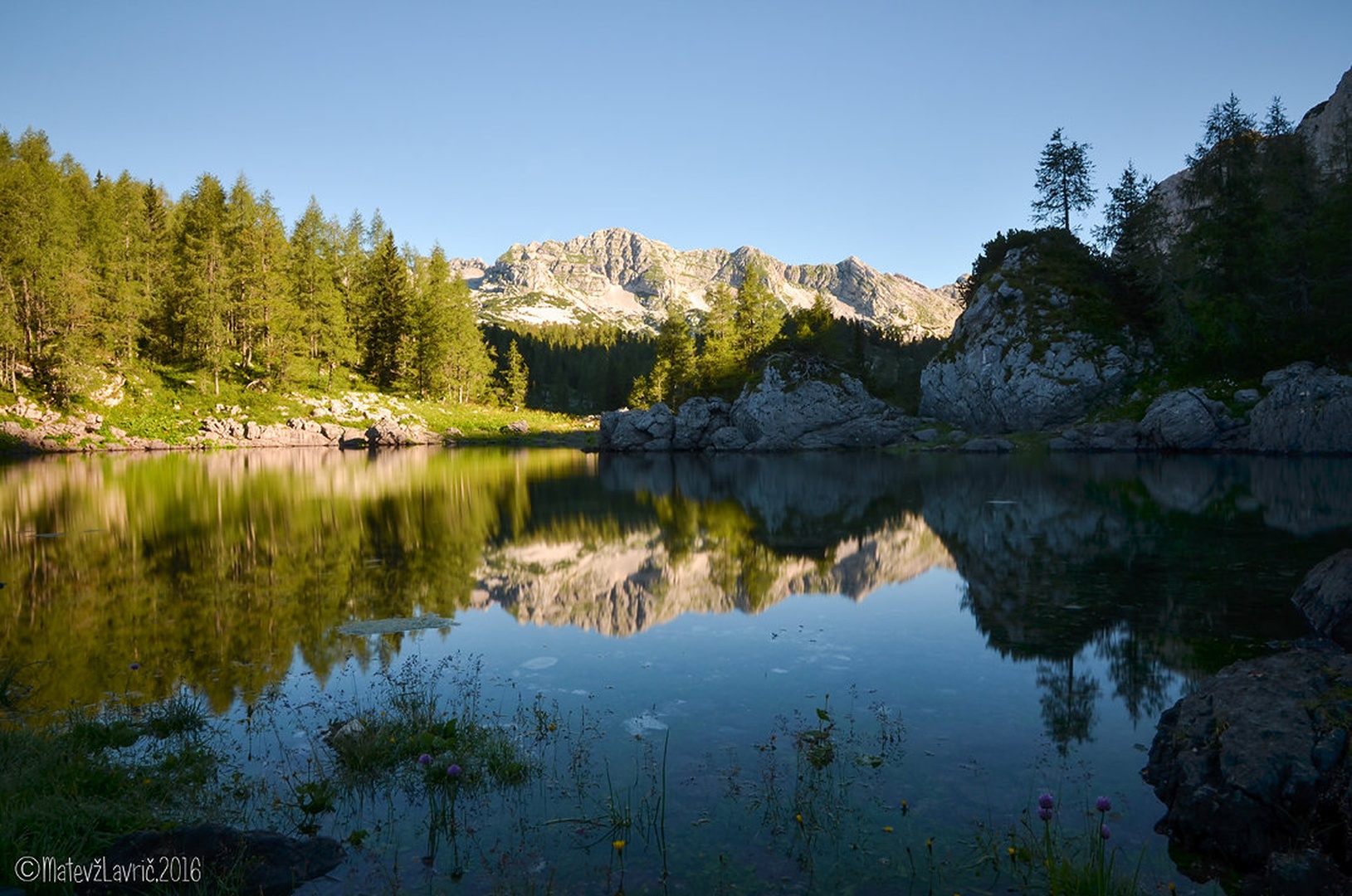 Morning glory along the lake. by Matevž Lavrič