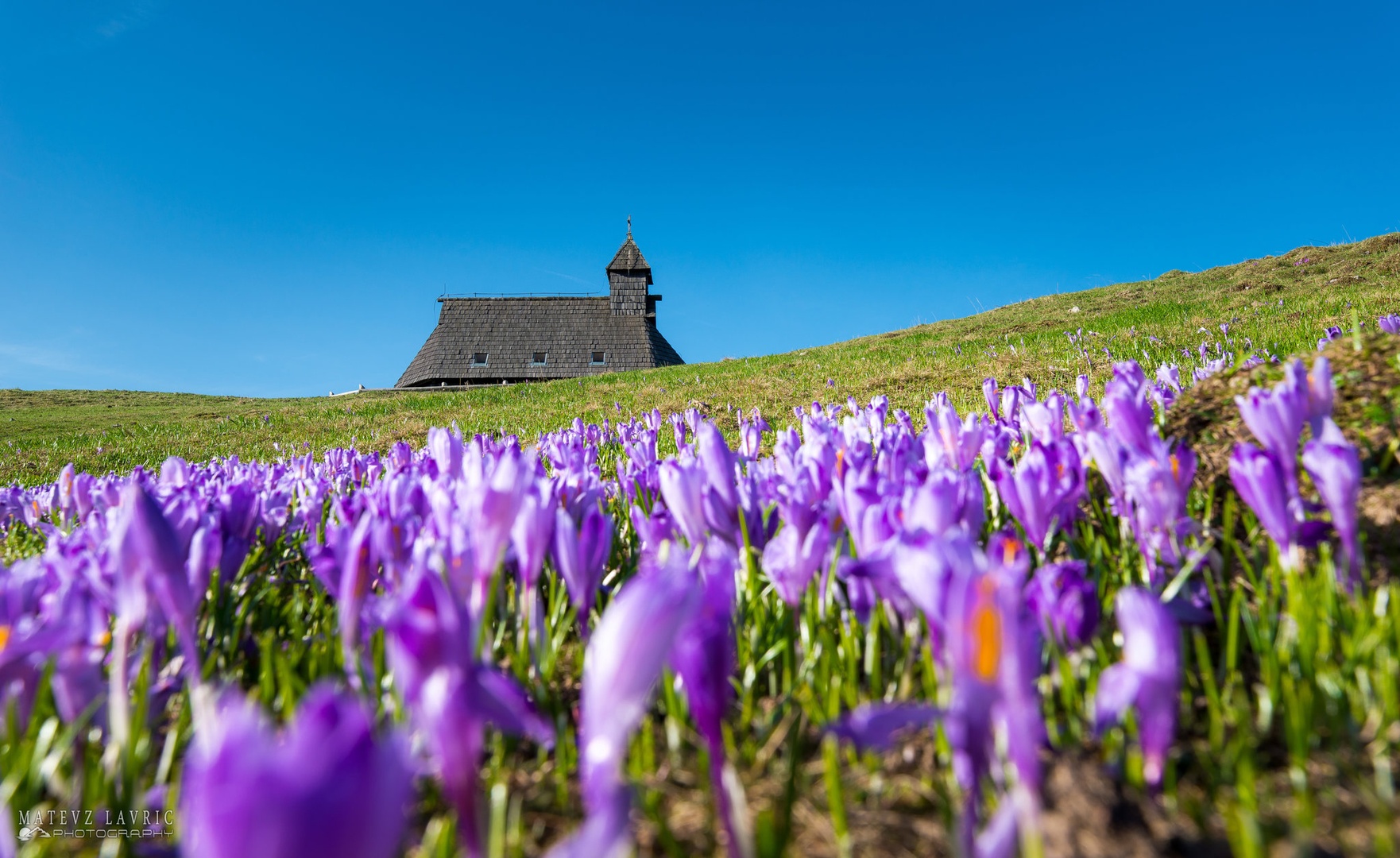 Velika planina by Matevž Lavrič