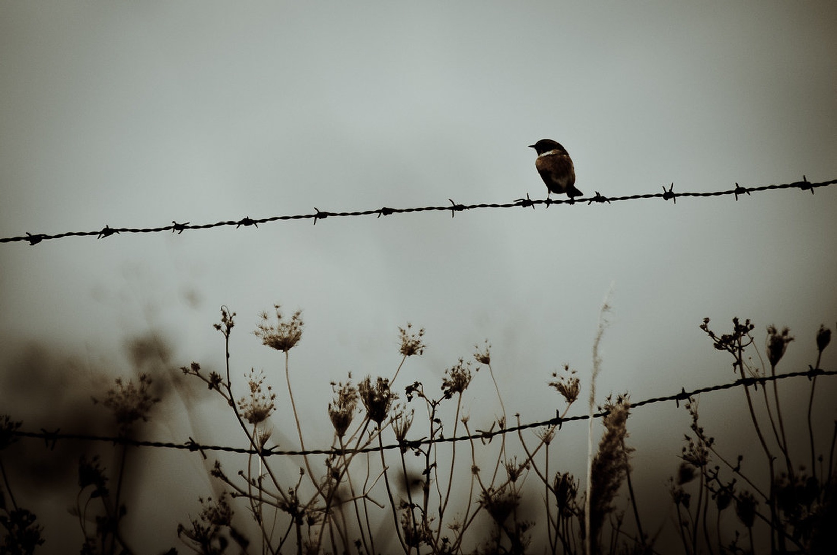 Jesen by mato7