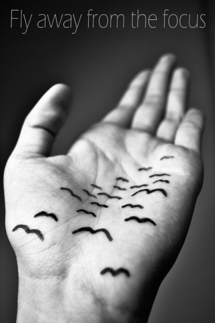 birds by anja kukovec