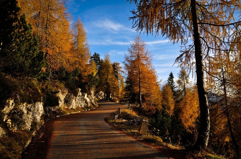 gorska jesen by Luka Černuta