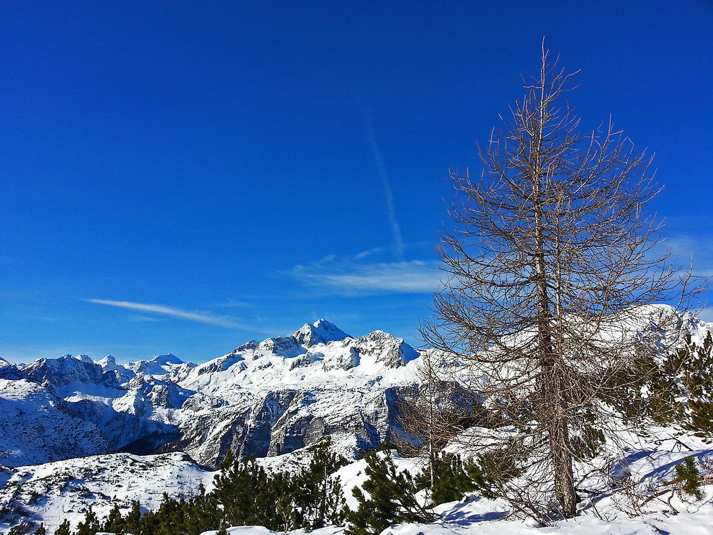 Velik Larix, mini Triglav by