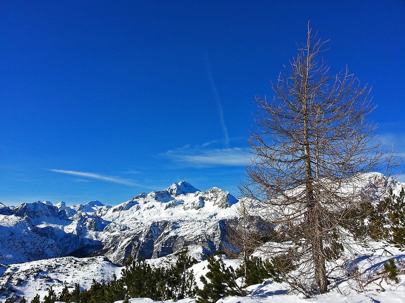 Velik Larix, mini Triglav by Fluid