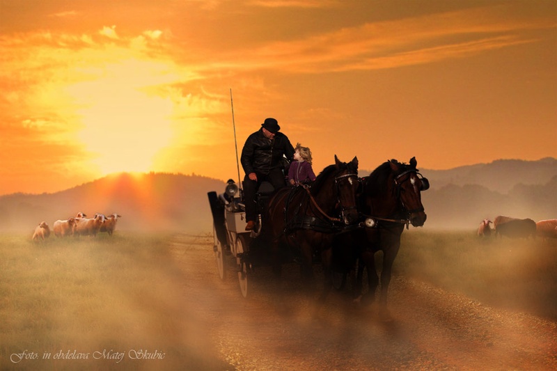 Western Dreams by Matej Skubic