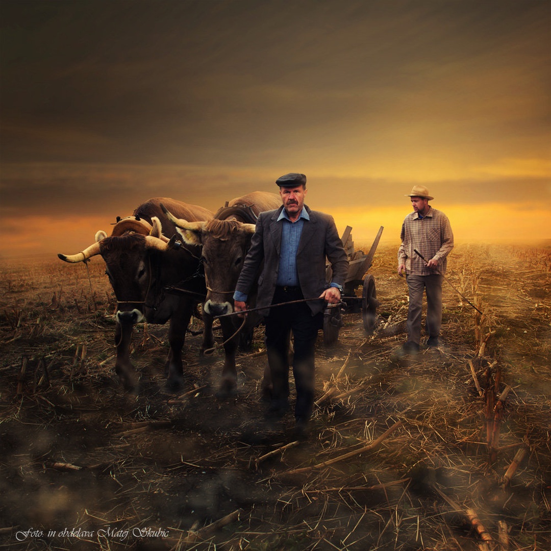 ECO farming by Matej Skubic