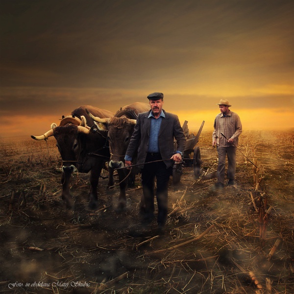 ECO farming by Matej Skubic