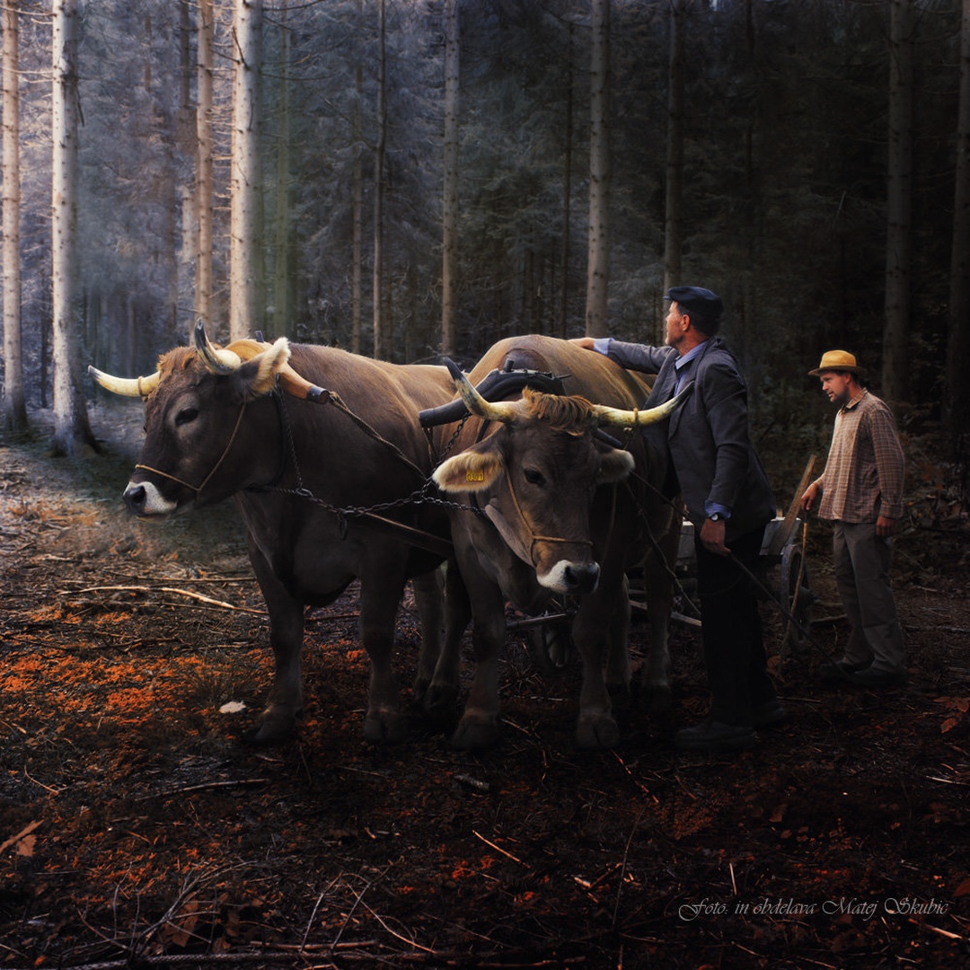 In old days by Matej Skubic