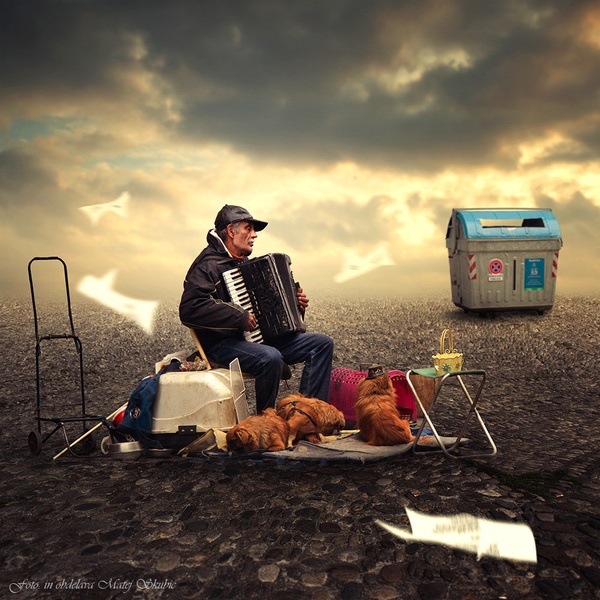 Best friends by Matej Skubic