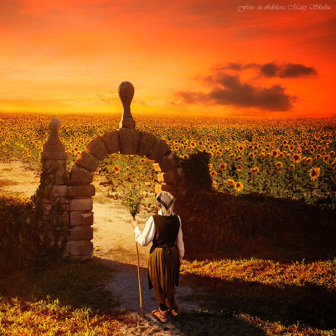 Sunflower mood by Matej Skubic