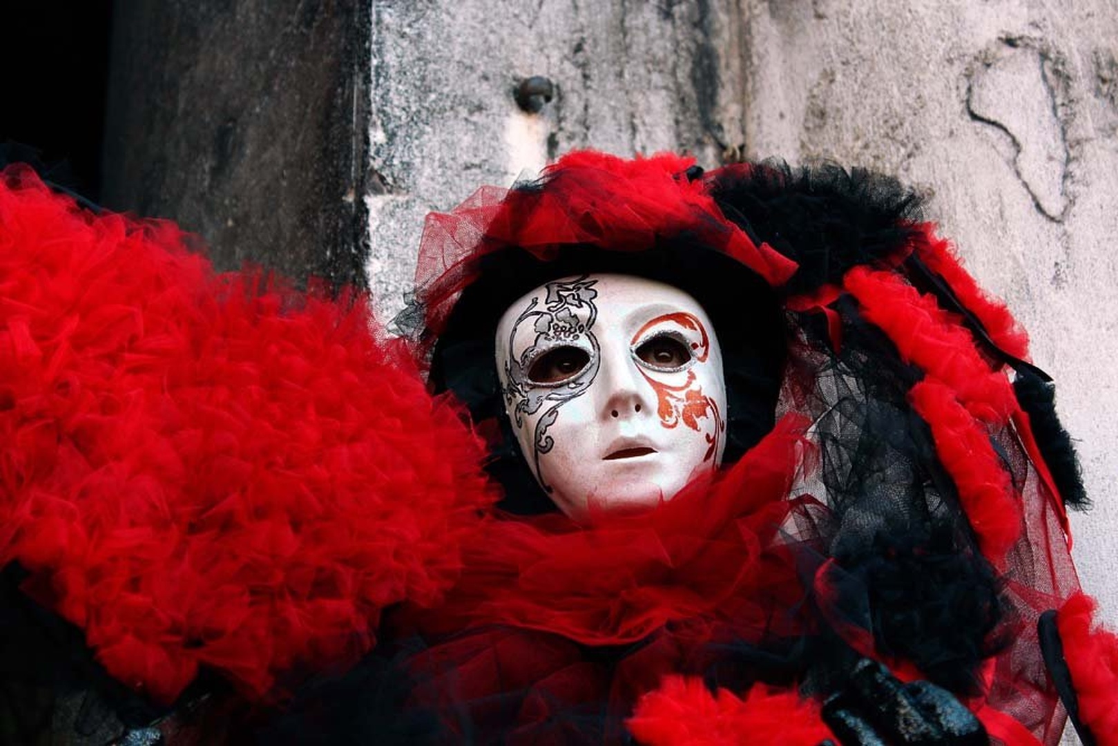 red pasion II. by Matej Skubic
