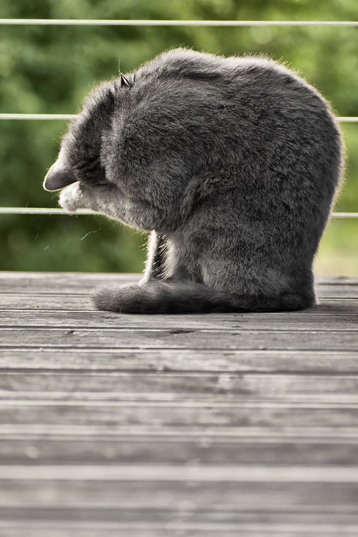 Ne me slikat! by Miha Šegula
