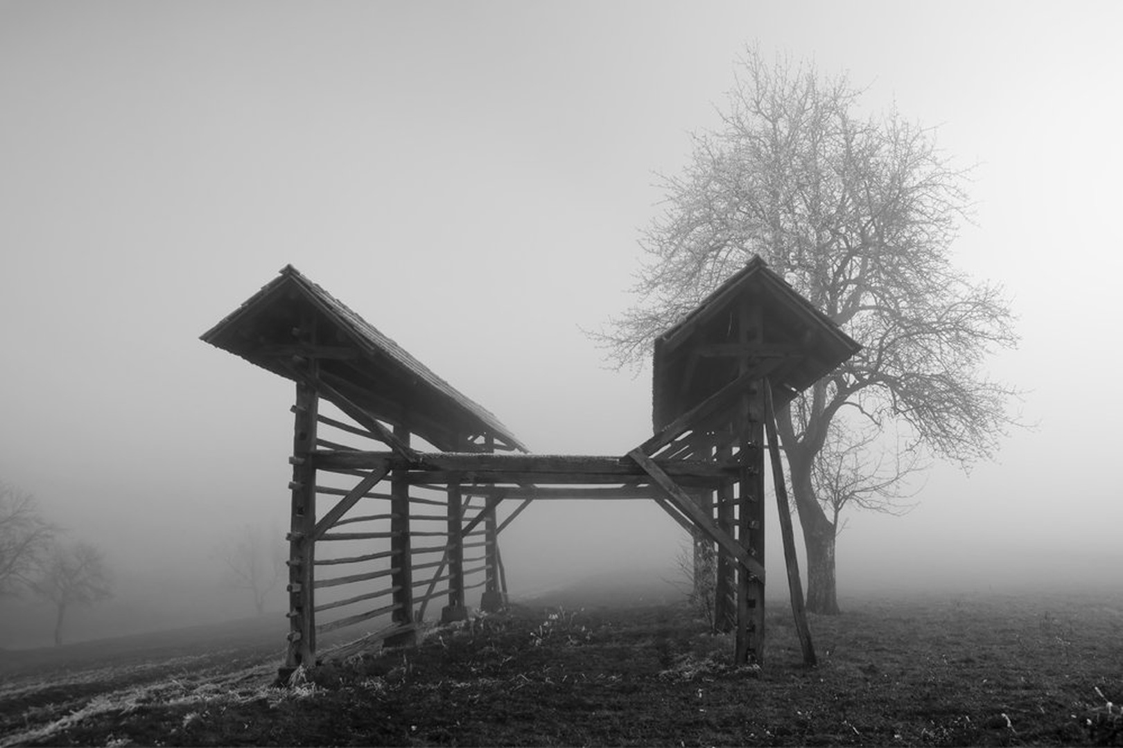V megli IV by Miha Šegula