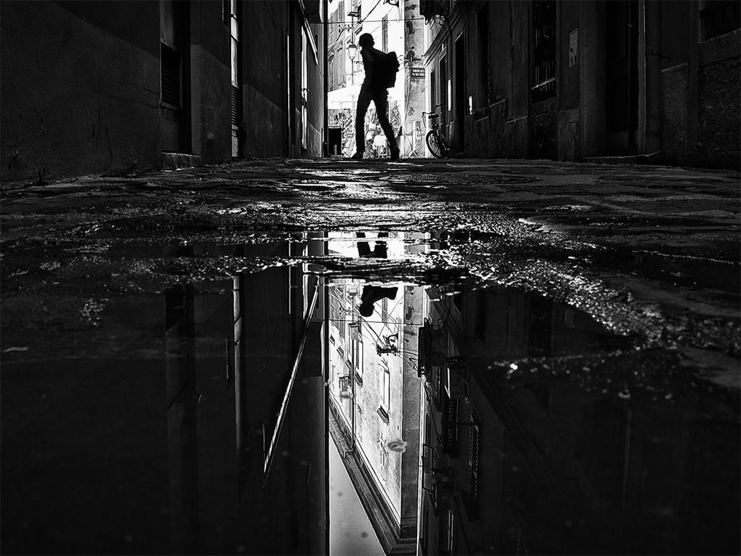 *** by Miha Šegula