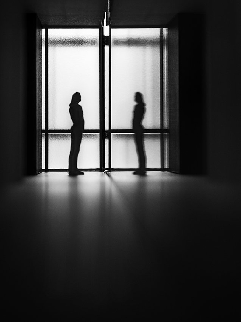 341 by Miha Šegula