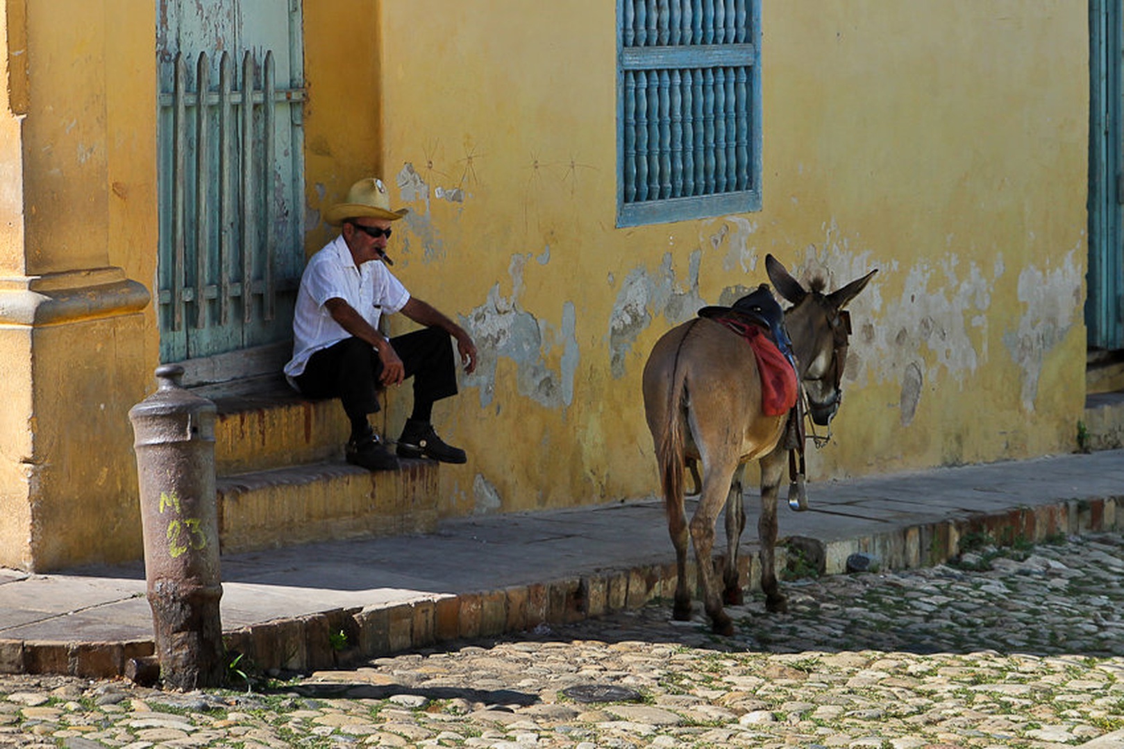 Me, my donkey and cigar by Dejan Dajković