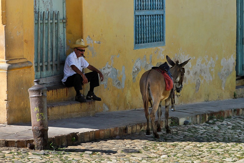 Me, my donkey and cigar by Dejan Dajković
