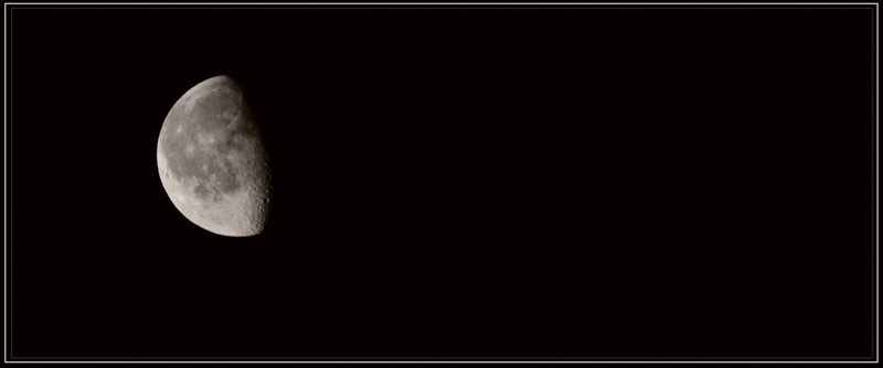 Luna by Tim Zupančič