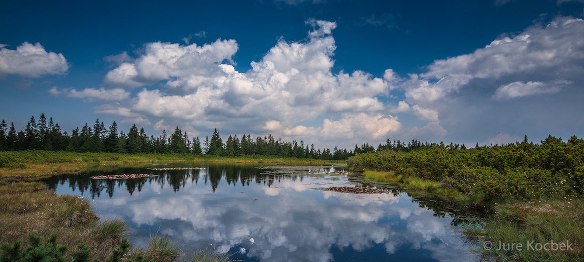 Ribniško jezero by Jure