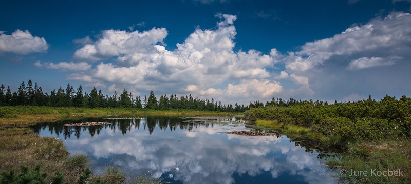 Ribniško jezero by Jure