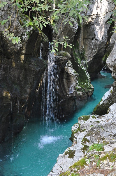 SOČA by Claudia