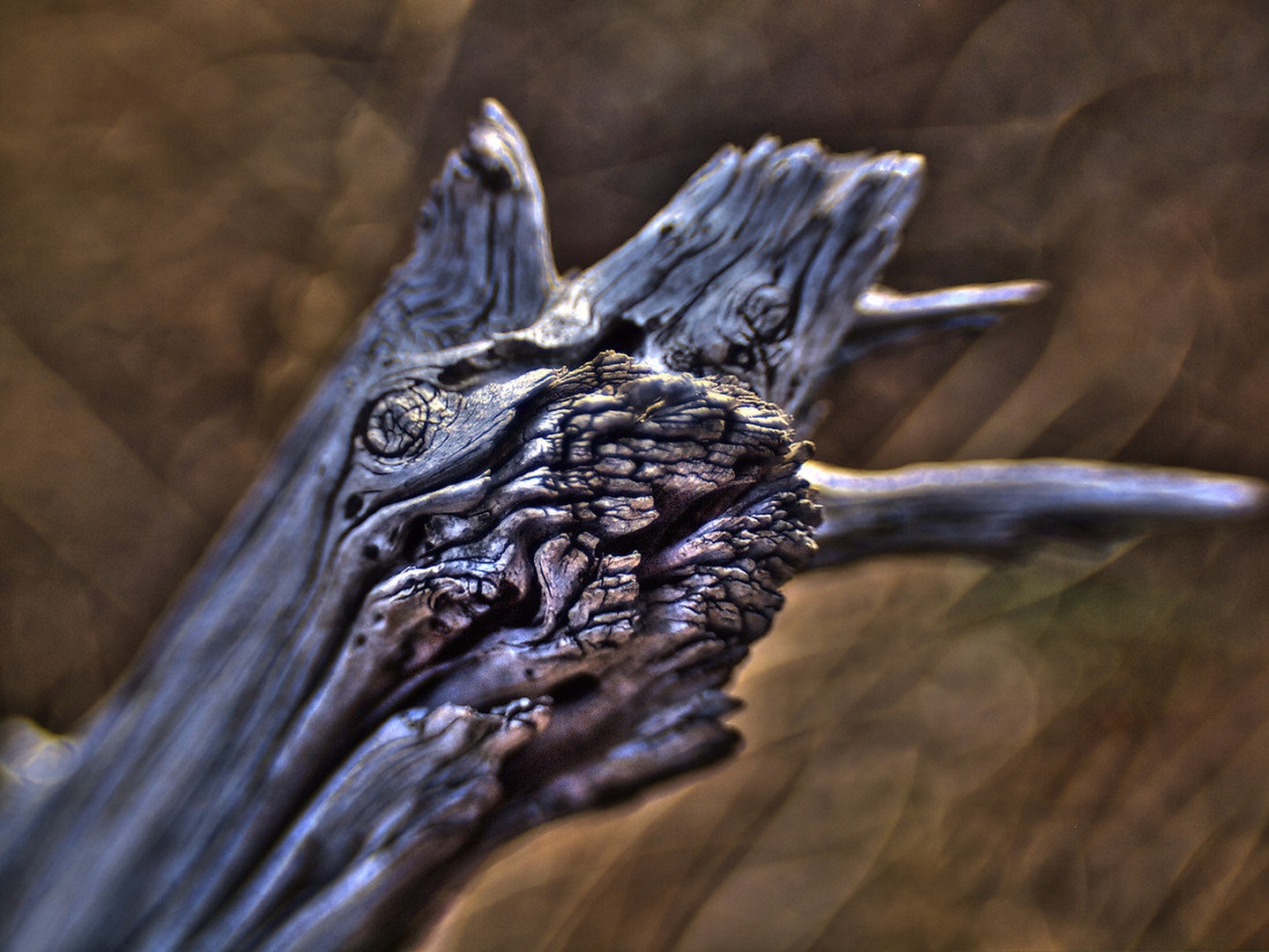 drvo by gordan pavletic