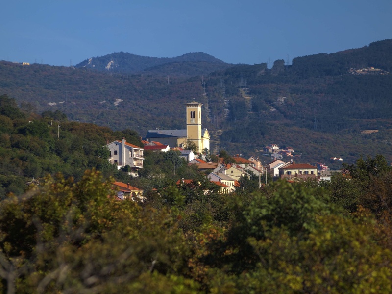 Praputnjak by gordan pavletic