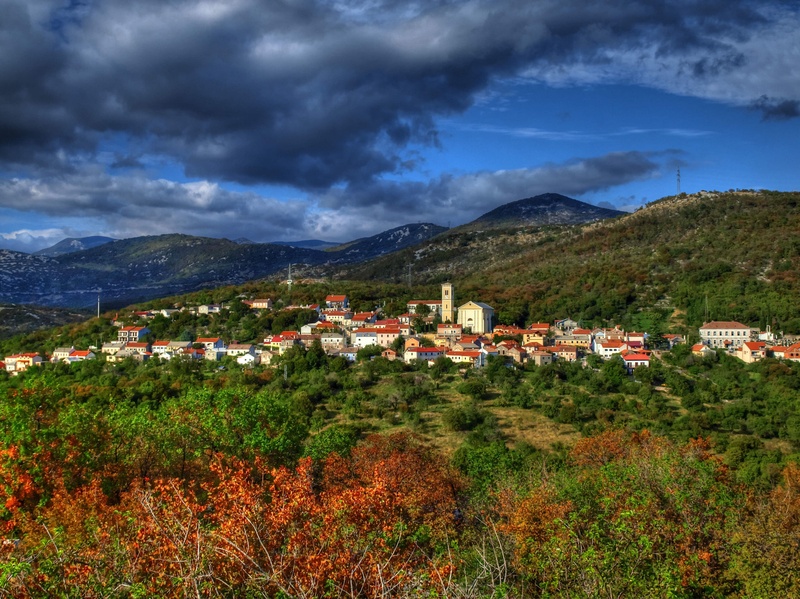 Praputnjak by gordan pavletic