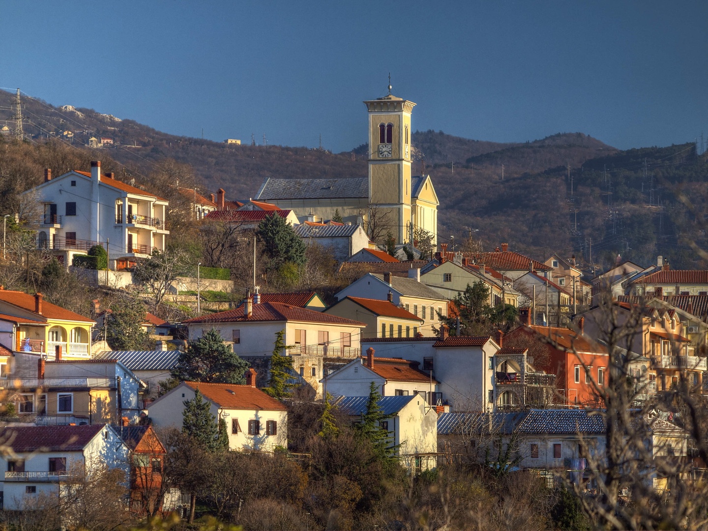 Praputnjak by gordan pavletic