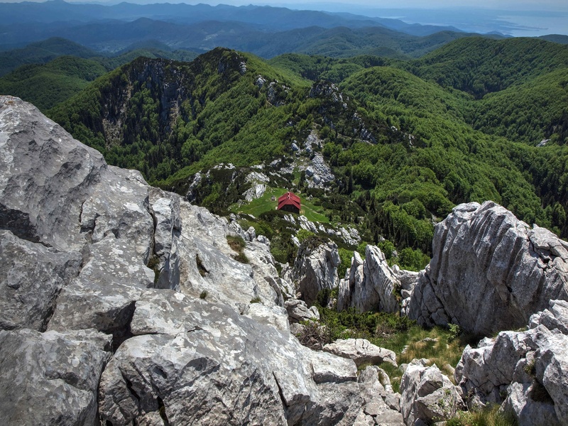 Risnjak by gordan pavletic