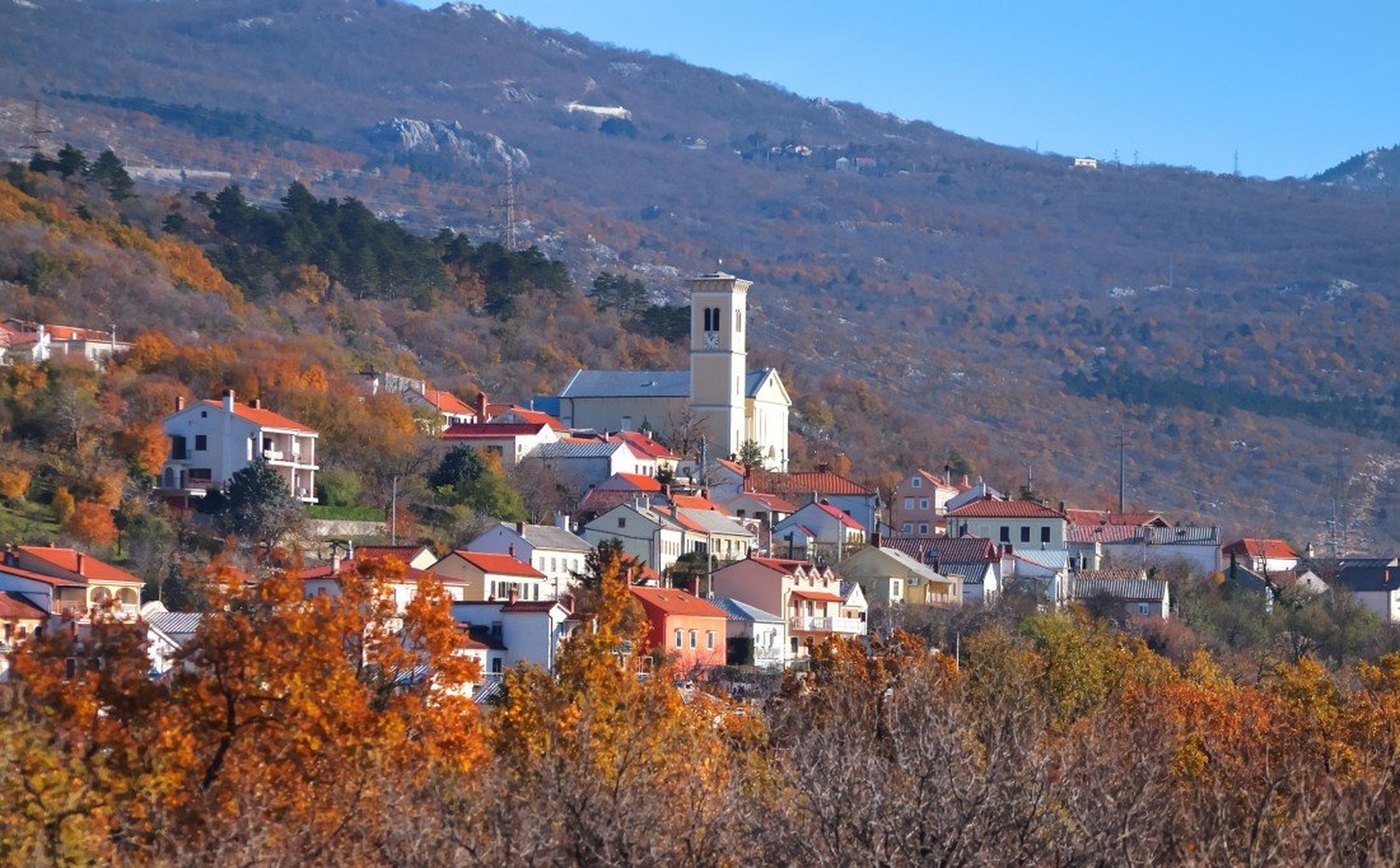 Praputnjak 10.2011 by gordan pavletic