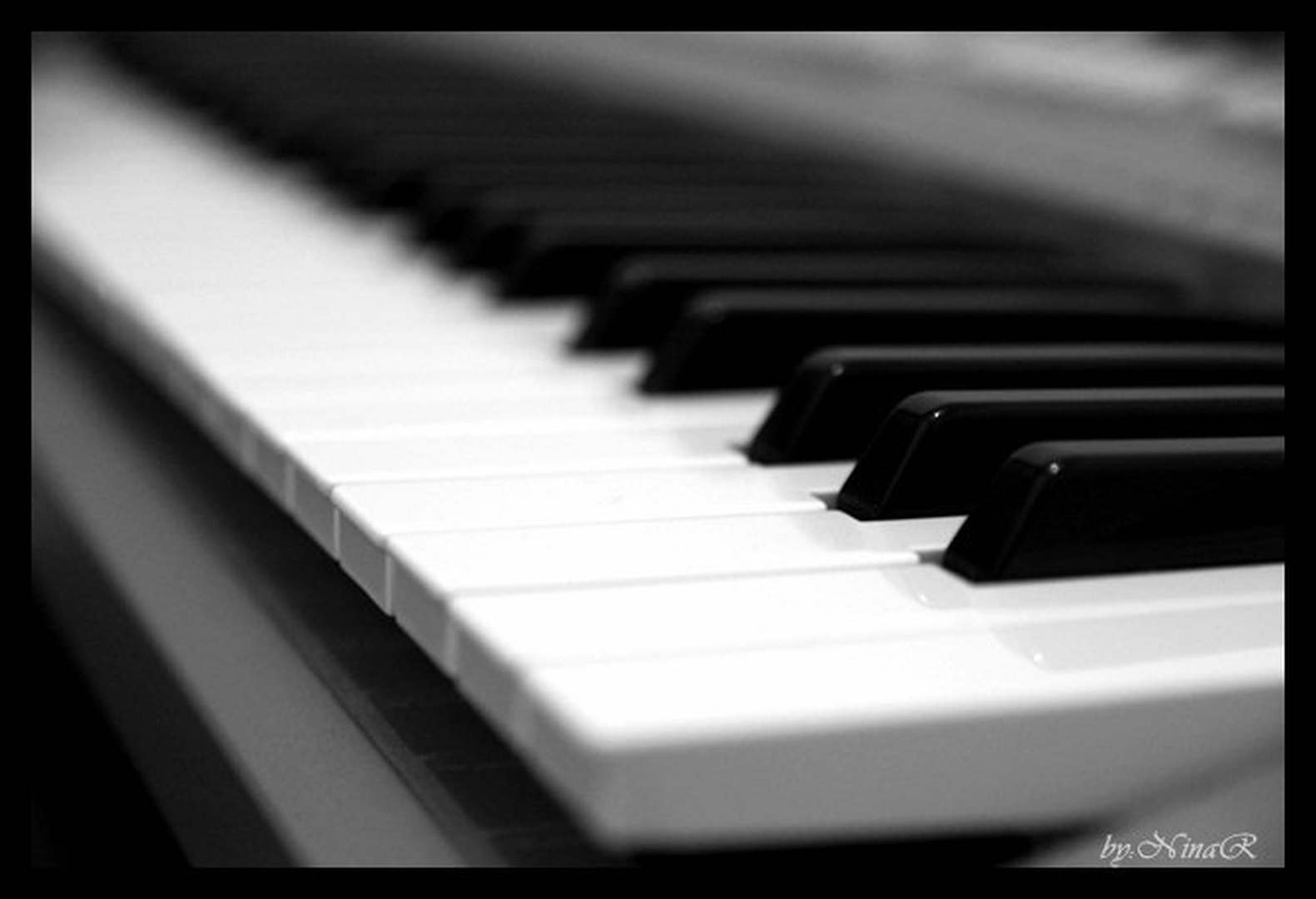 synthesizer by Nina Rot