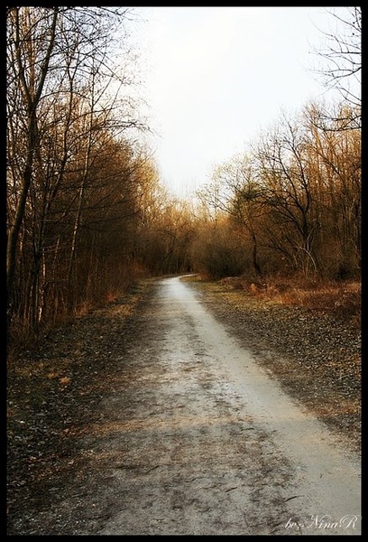 My way by Nina Rot