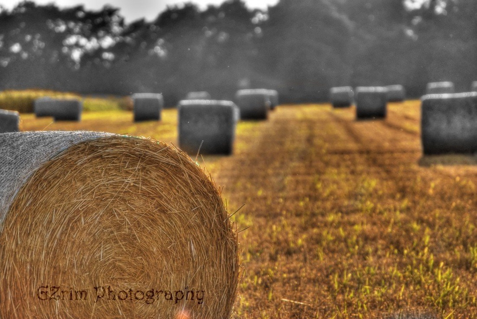 hay bale by GZy