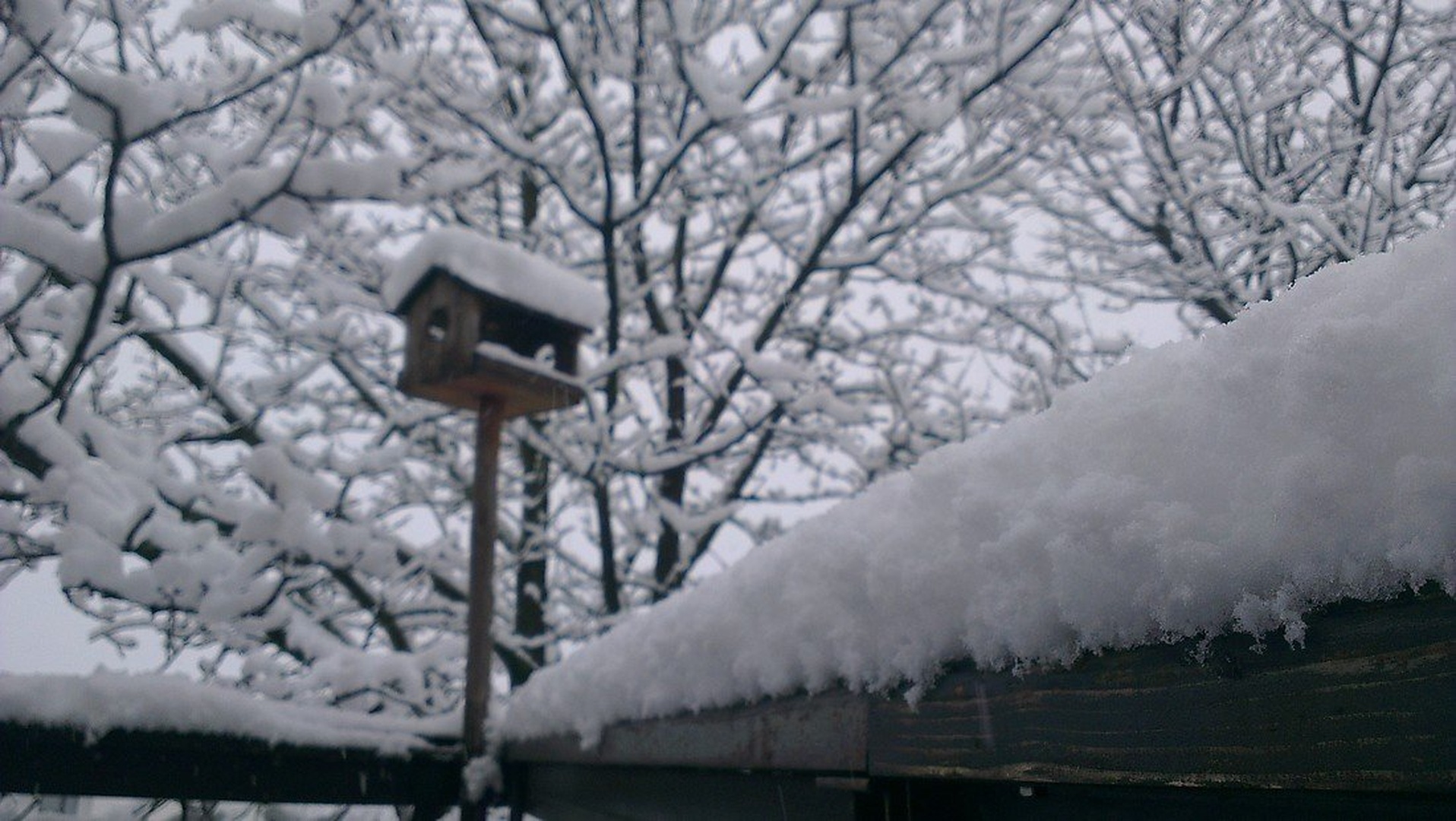 First snow of 2012 by Matej Dolenšek