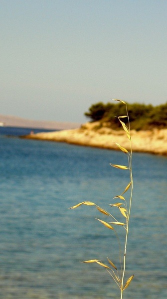 ... by nino kolaric