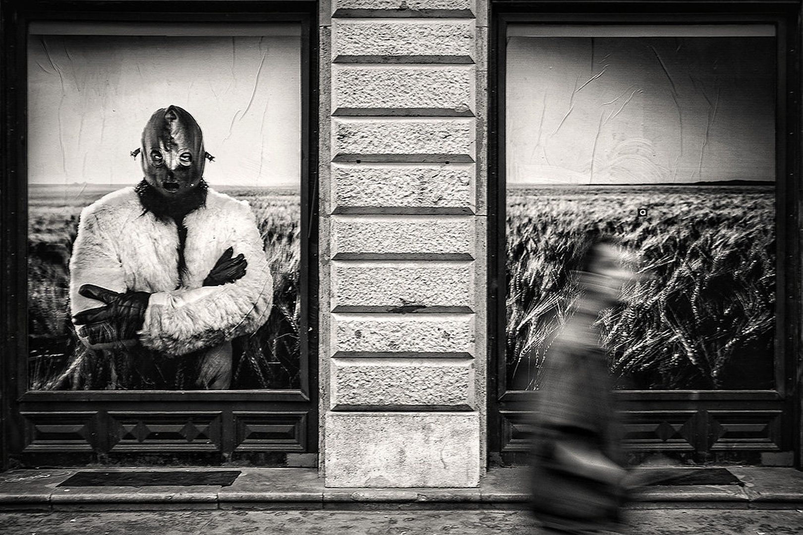 Observer by Andrej Habjan