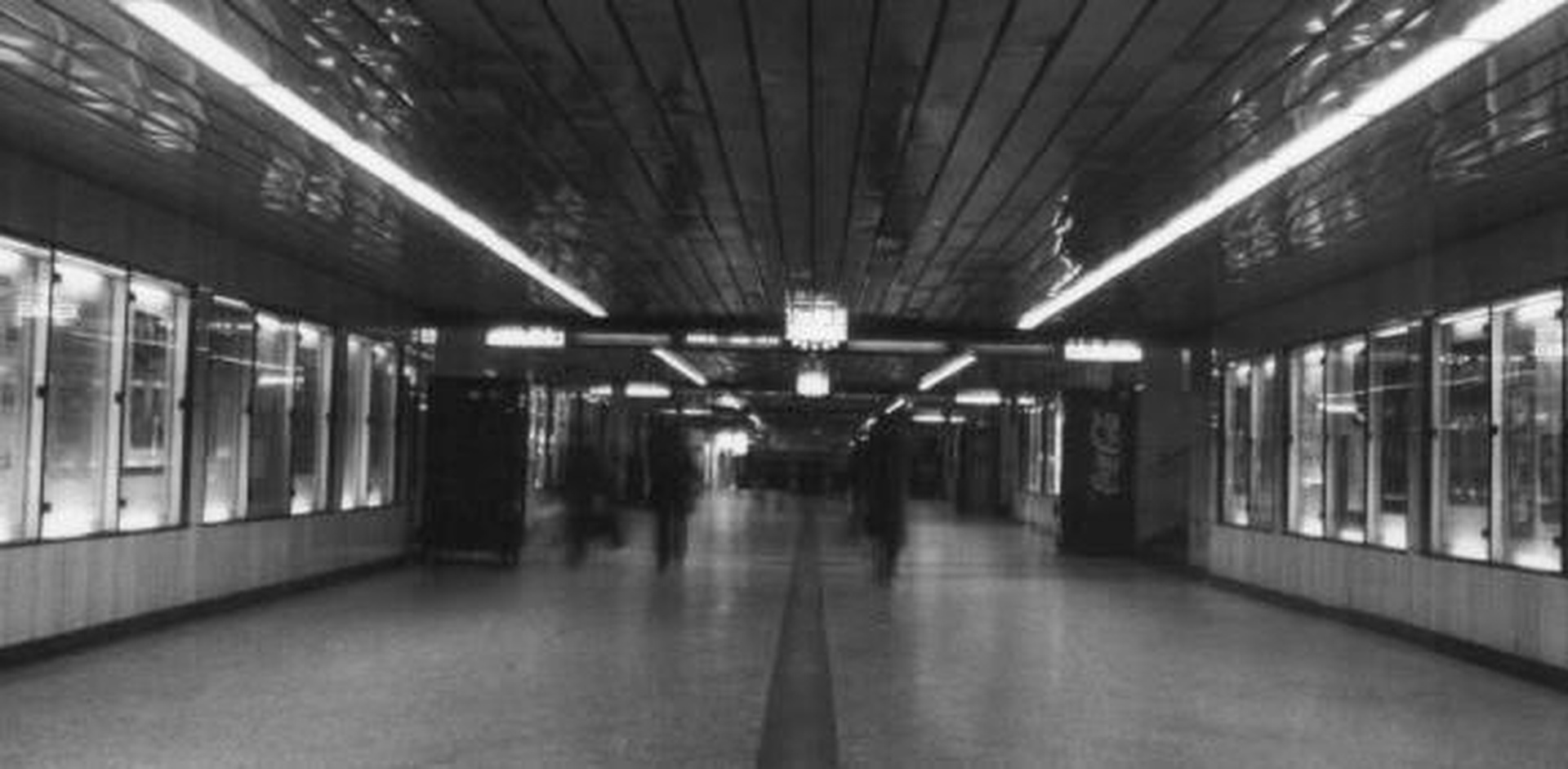 Brezizhodnost by