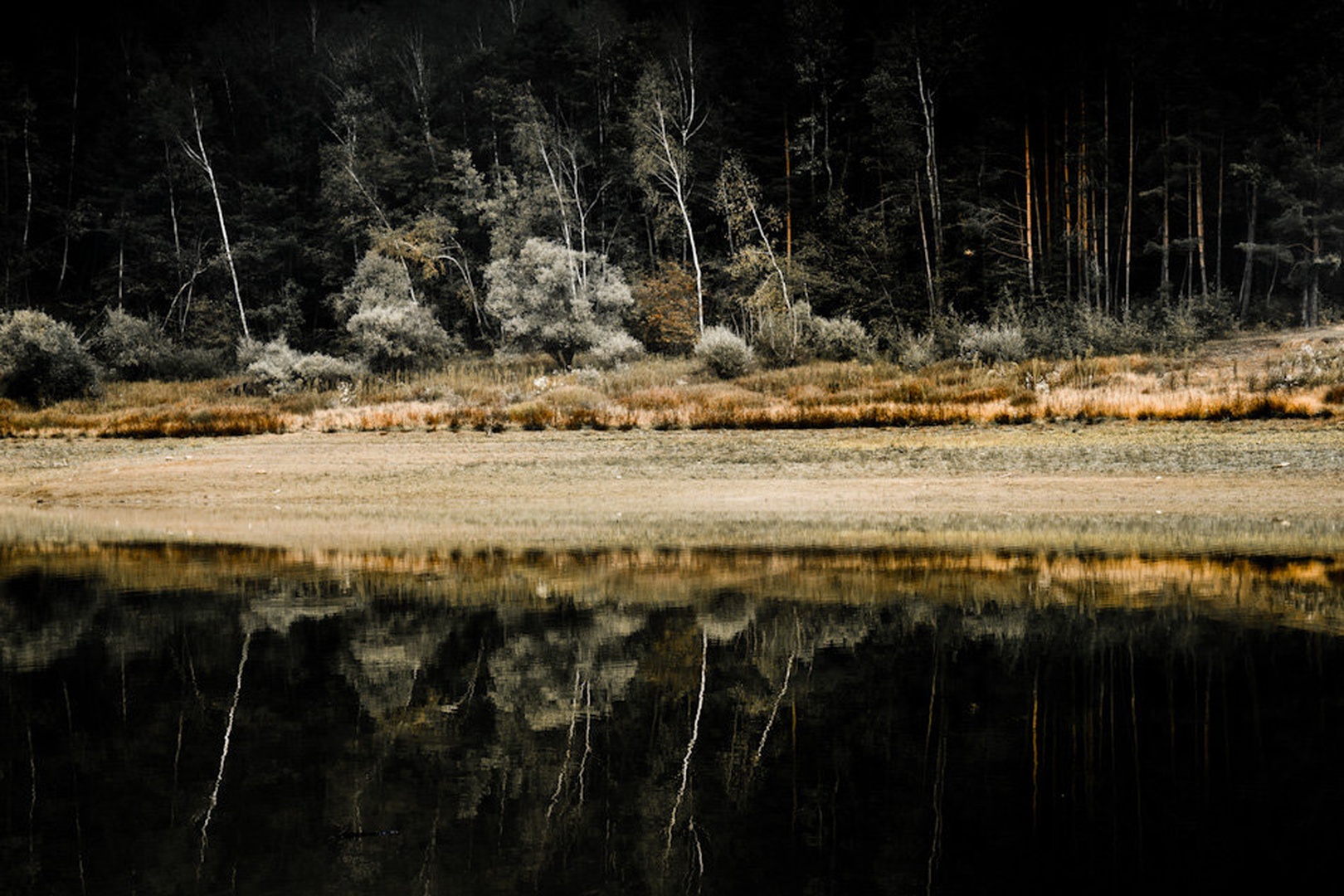 Autumn Lake II by Martin Cekada